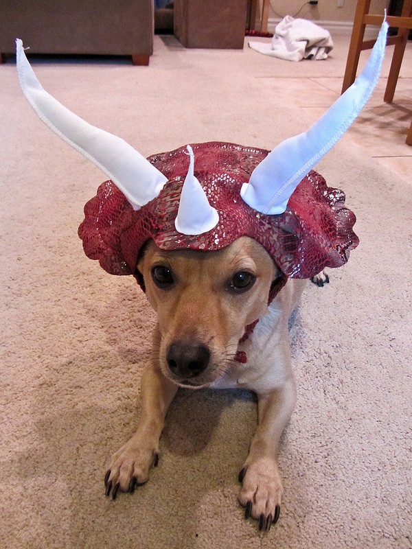 8141943801_7561e74fd7_c