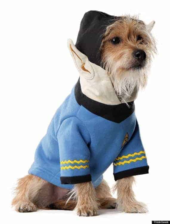 o-spock-dog-570