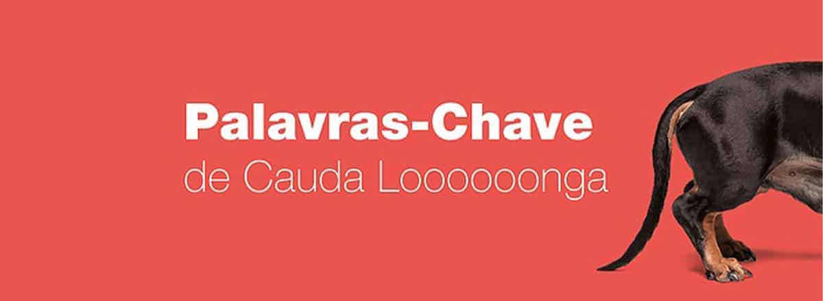 Palavras-Chave de Cauda Longa