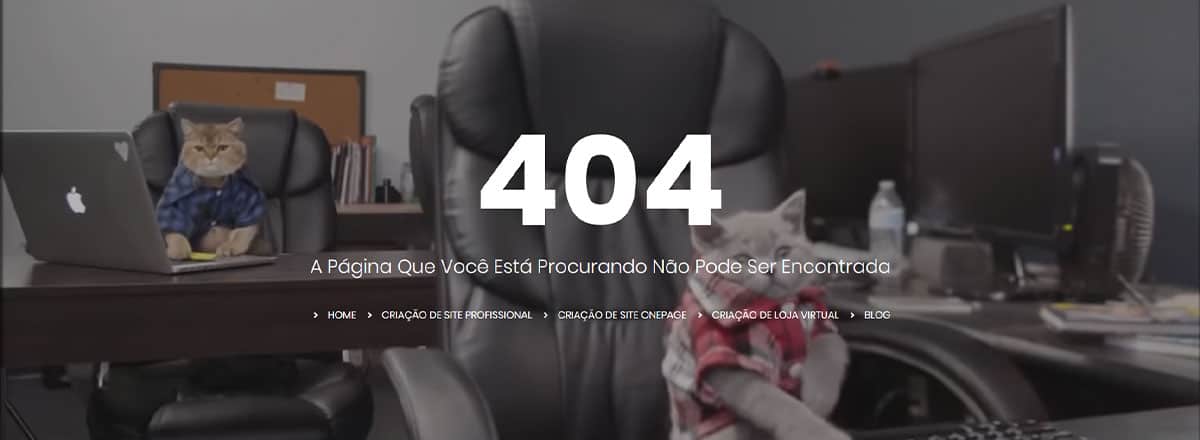página de erro 404