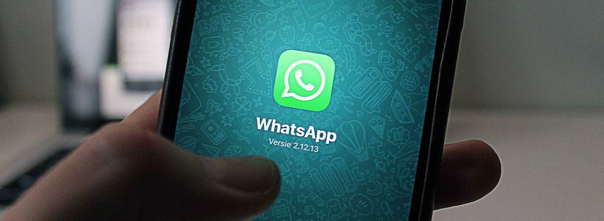 whatsapp business