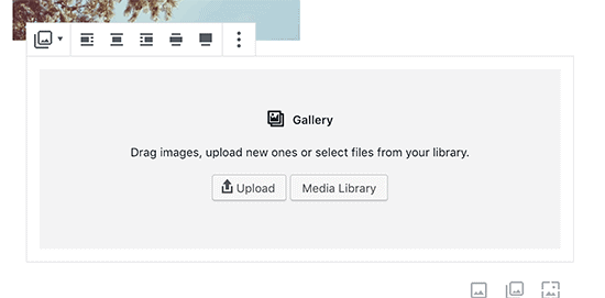 Como adicionar um post no WordPress e otimizar o SEO (Gutenberg) 6