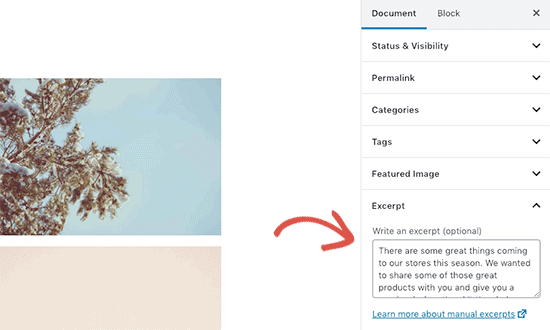 Como adicionar um post no WordPress e otimizar o SEO (Gutenberg) 11