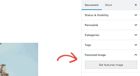 Como adicionar um post no WordPress e otimizar o SEO (Gutenberg) 10