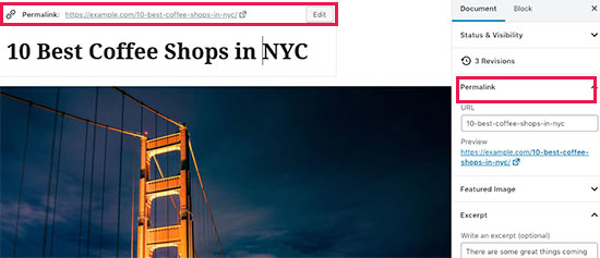 Como adicionar um post no WordPress e otimizar o SEO (Gutenberg) 12