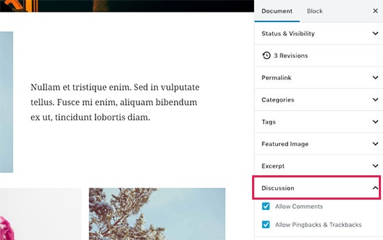 Como adicionar um post no WordPress e otimizar o SEO (Gutenberg) 14