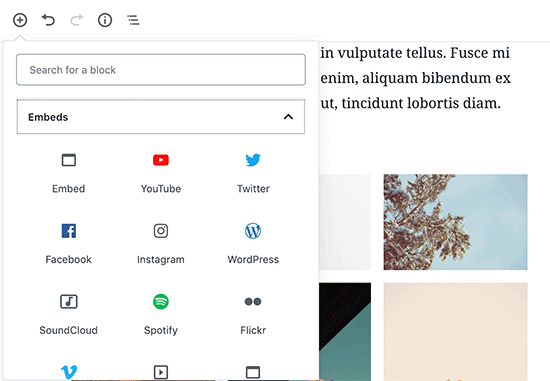 Como adicionar um post no WordPress e otimizar o SEO (Gutenberg) 7