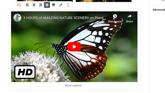 Como adicionar um post no WordPress e otimizar o SEO (Gutenberg) 8