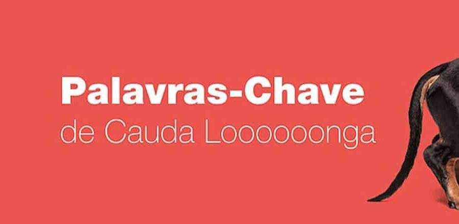 Palavras-Chave de Cauda Longa