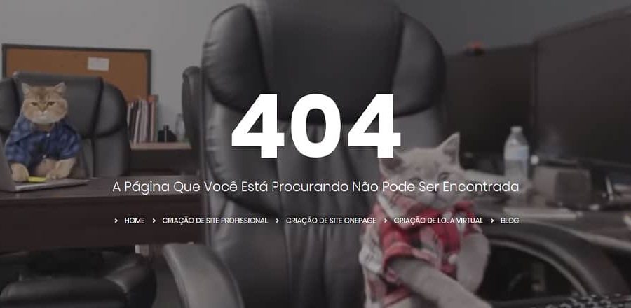 página de erro 404