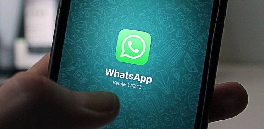 whatsapp business